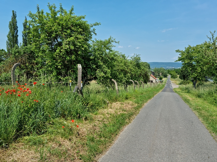 k Zum neuen Friedhof 01